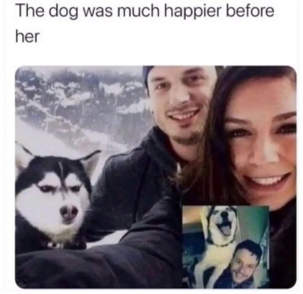 1954683242502164480