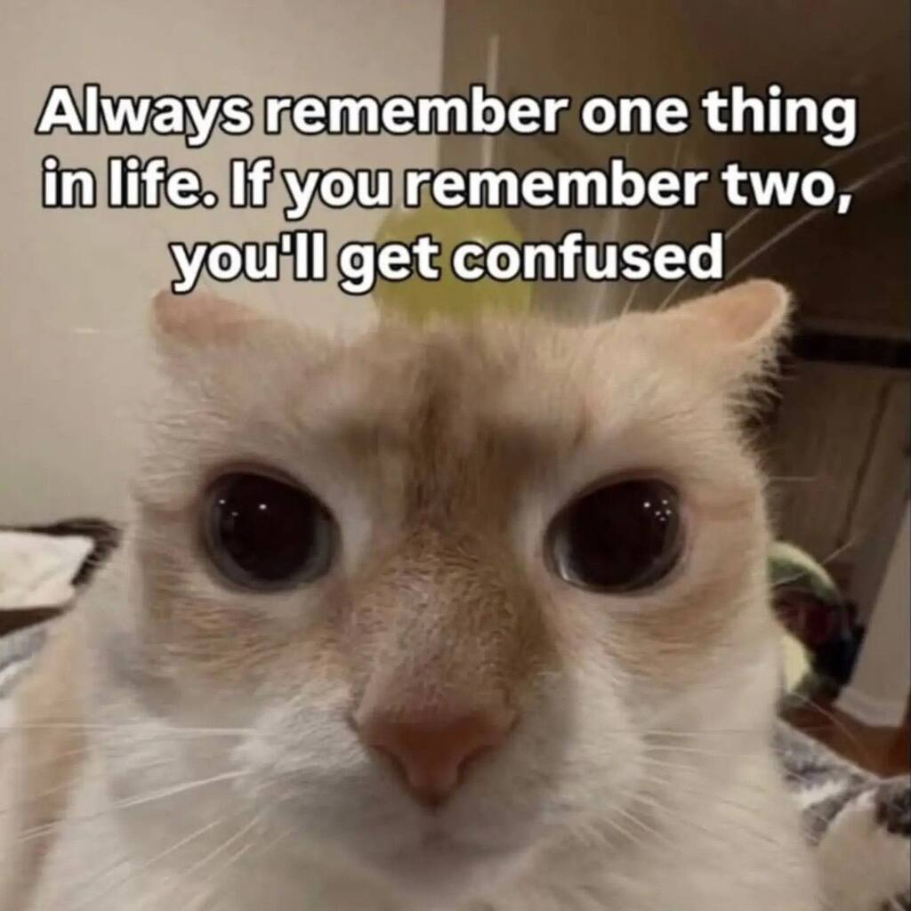 1954935096922345472