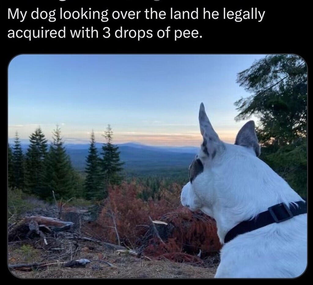 1955762480529543168