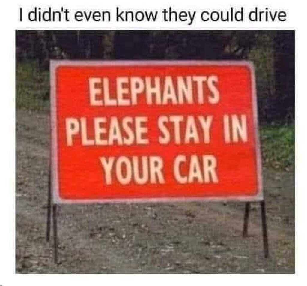 1958310764880072704