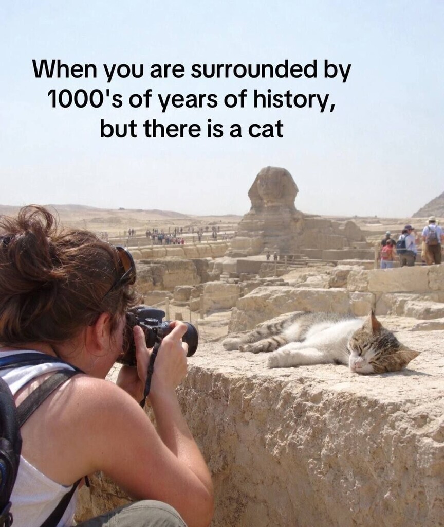 1958662955444953088