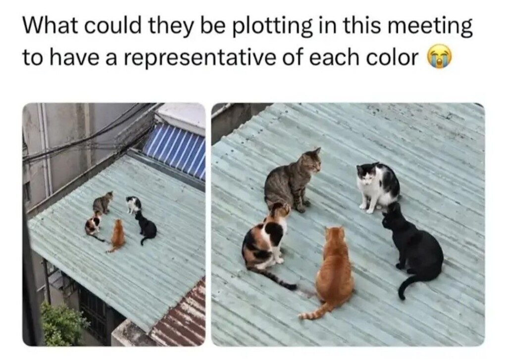 1959413660262600704