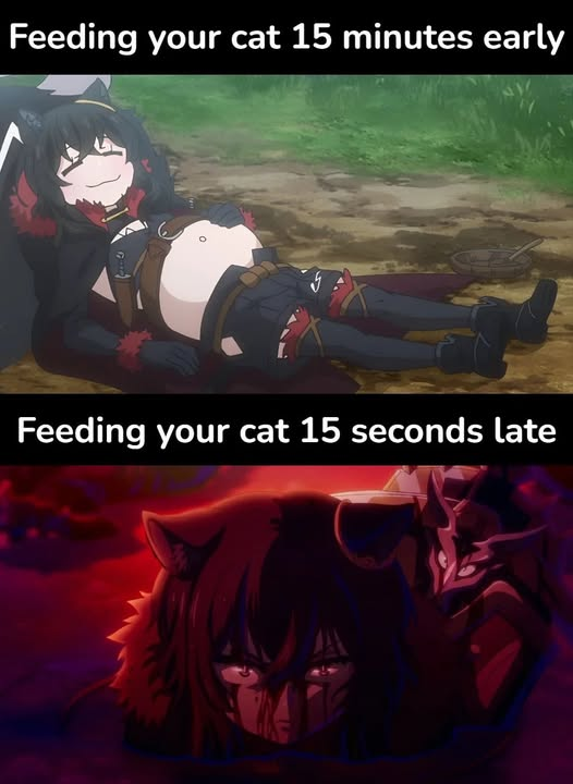 853935355 1615344153960085 2876173819750971587 n