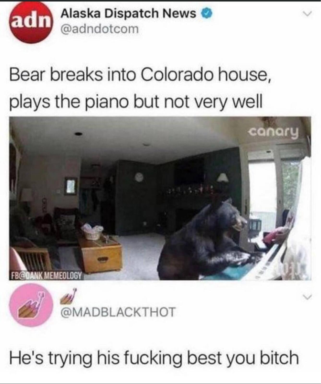 bear
