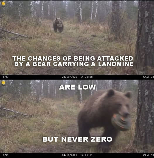 BEAR WITH LANDMINE