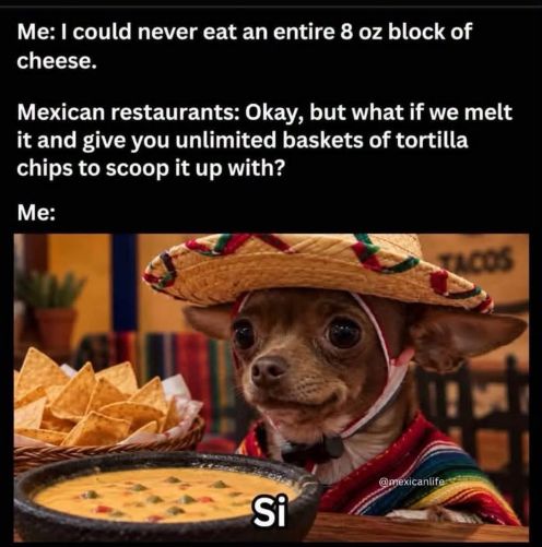 dog and cheese