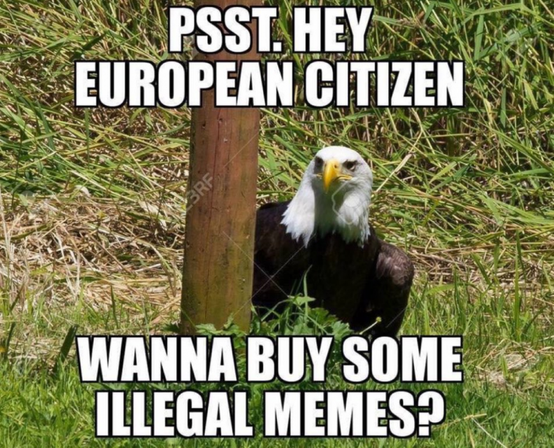 f8d6e62bf4e12b1ad45730472fb143a6bb89699a13122567304705d528dff185