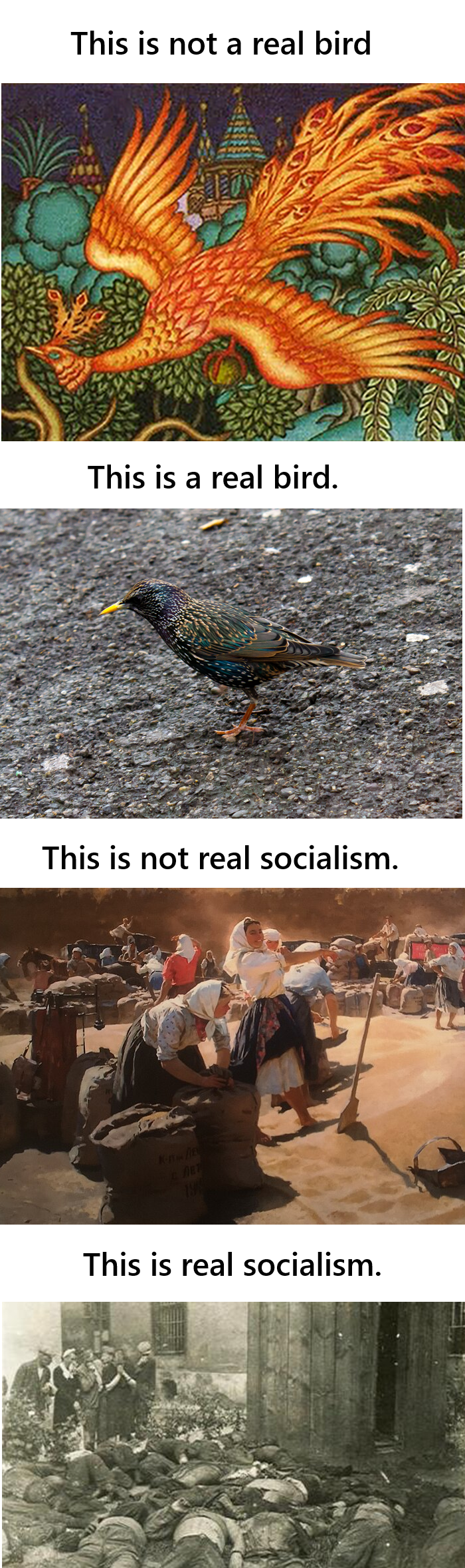 Social1