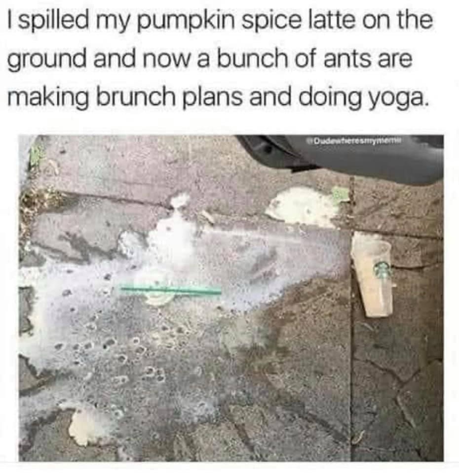 Spilled my pumpkin spice Coffee Memes