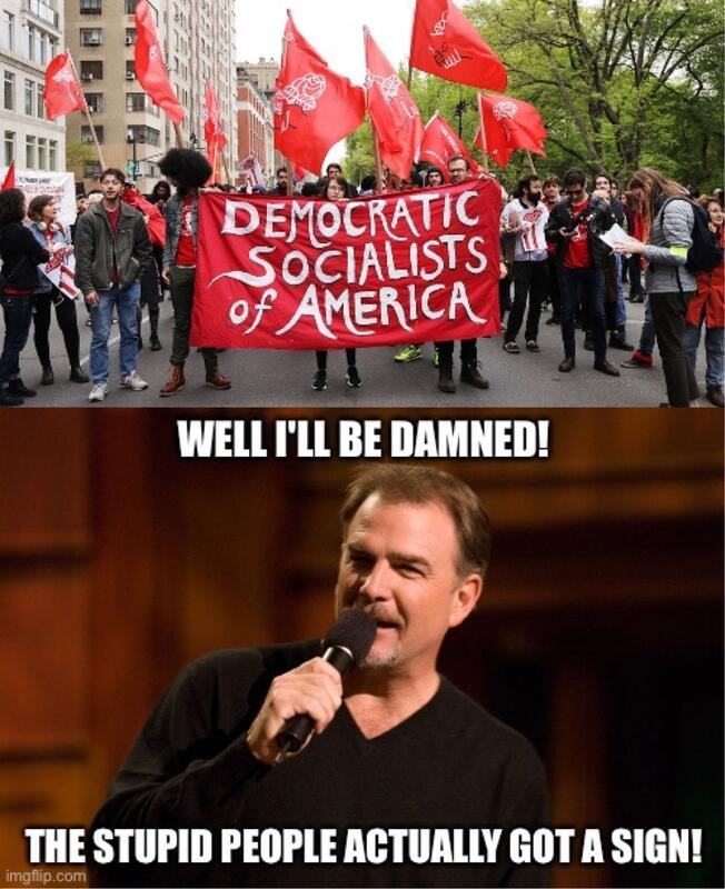 stupid
