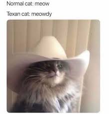 texakitty